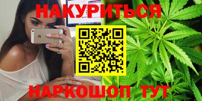 молекула духа Будённовск