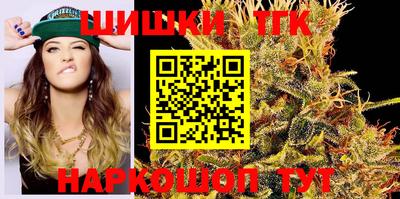 молекула духа Будённовск