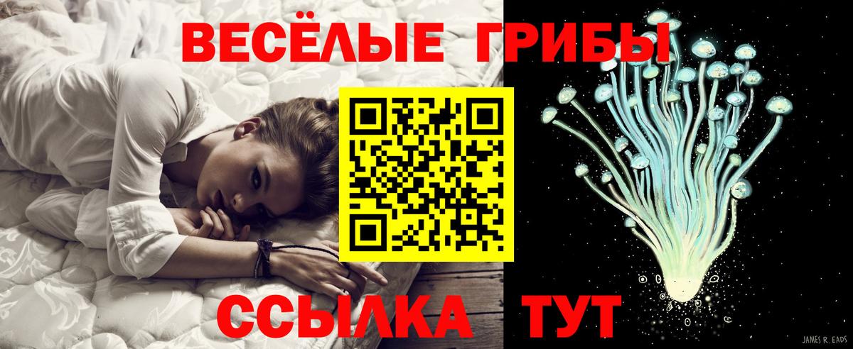 купить   Псилоцибиновые грибы GOLDEN TEACHER  Сургут  Вход с VPN  Псилоцибиновые грибы Cubensis 