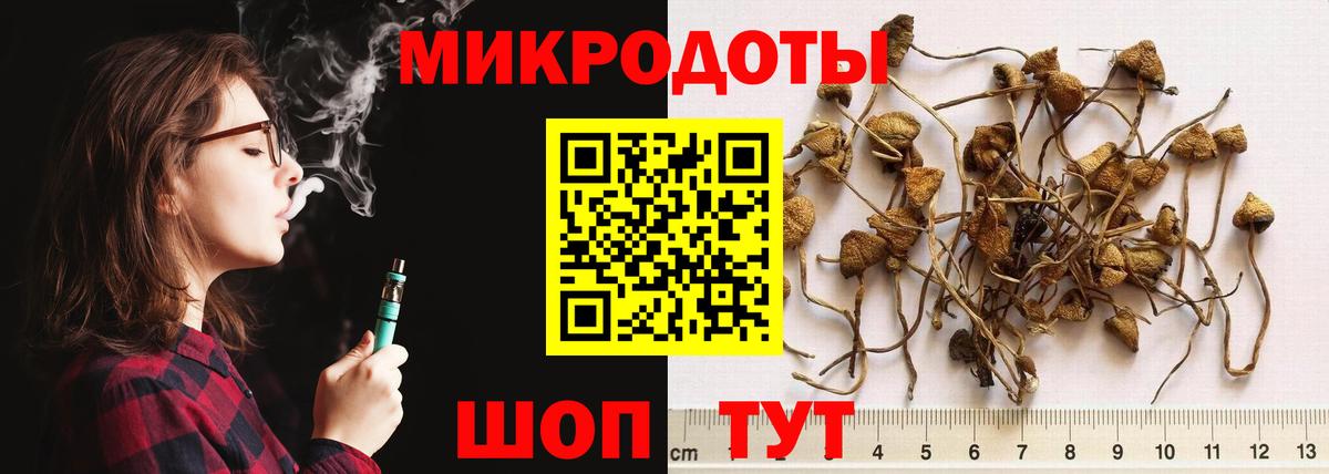 Галлюциногенные грибы мухоморы Сургут